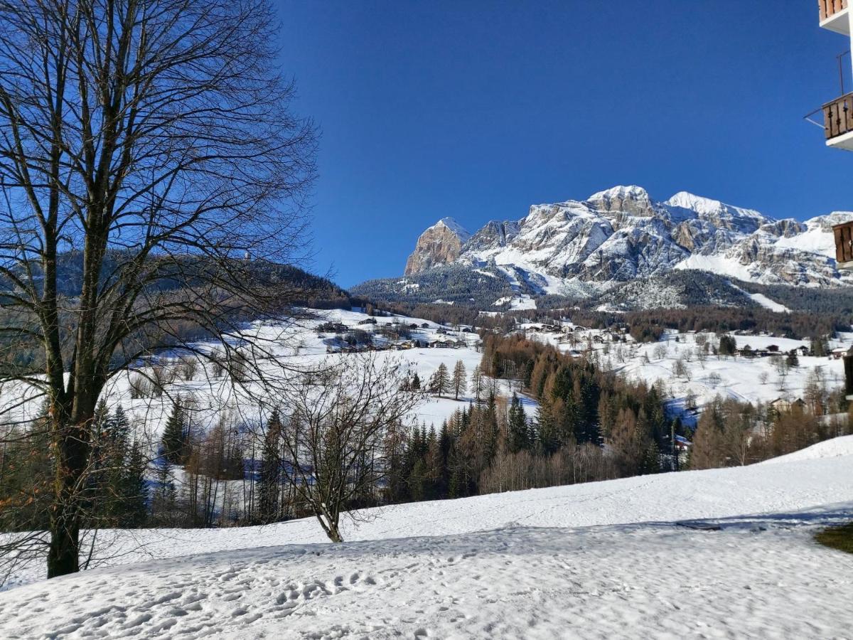 Appartamento Stella Alpina Cortina d'Ampezzo Exterior photo
